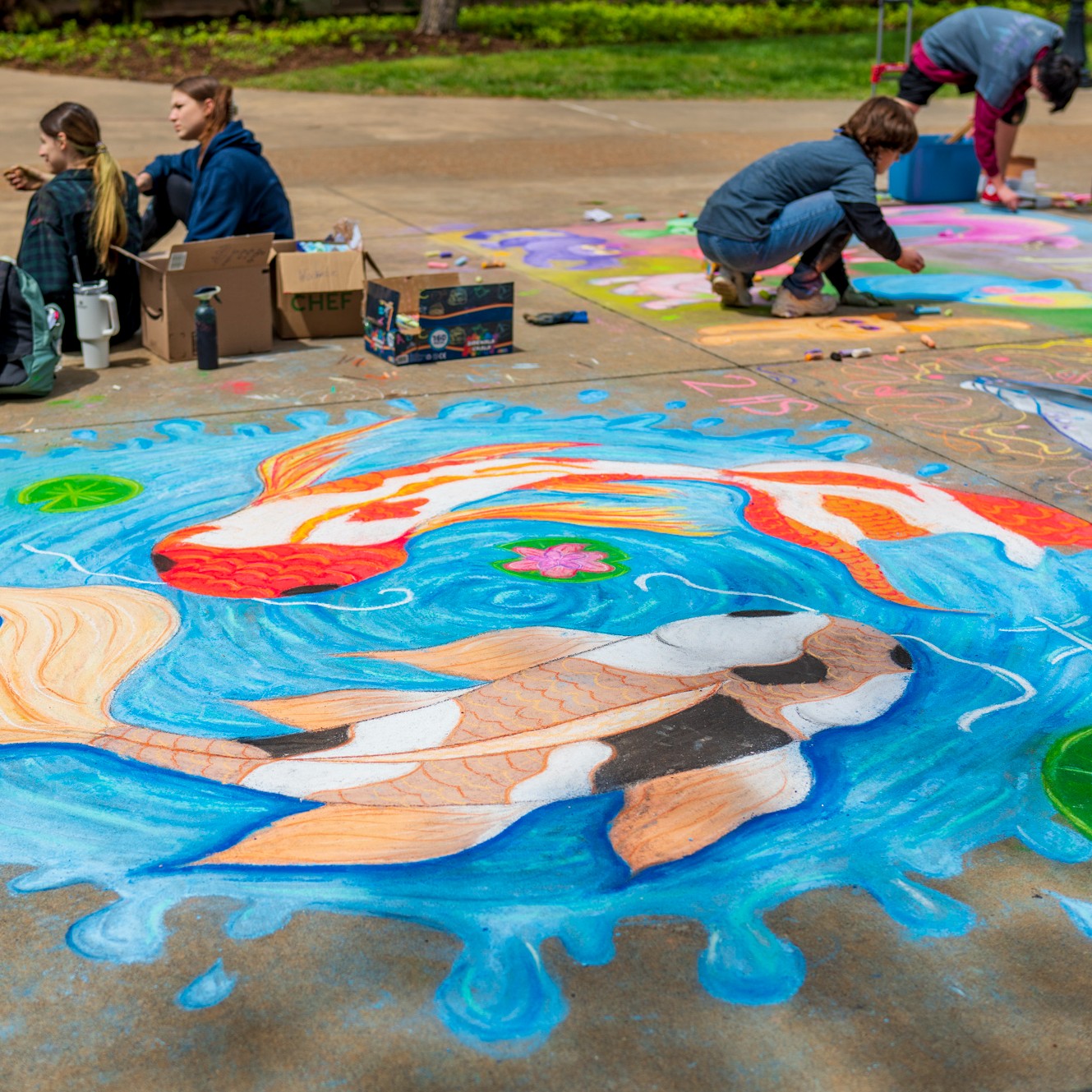 Chalk art of fish 