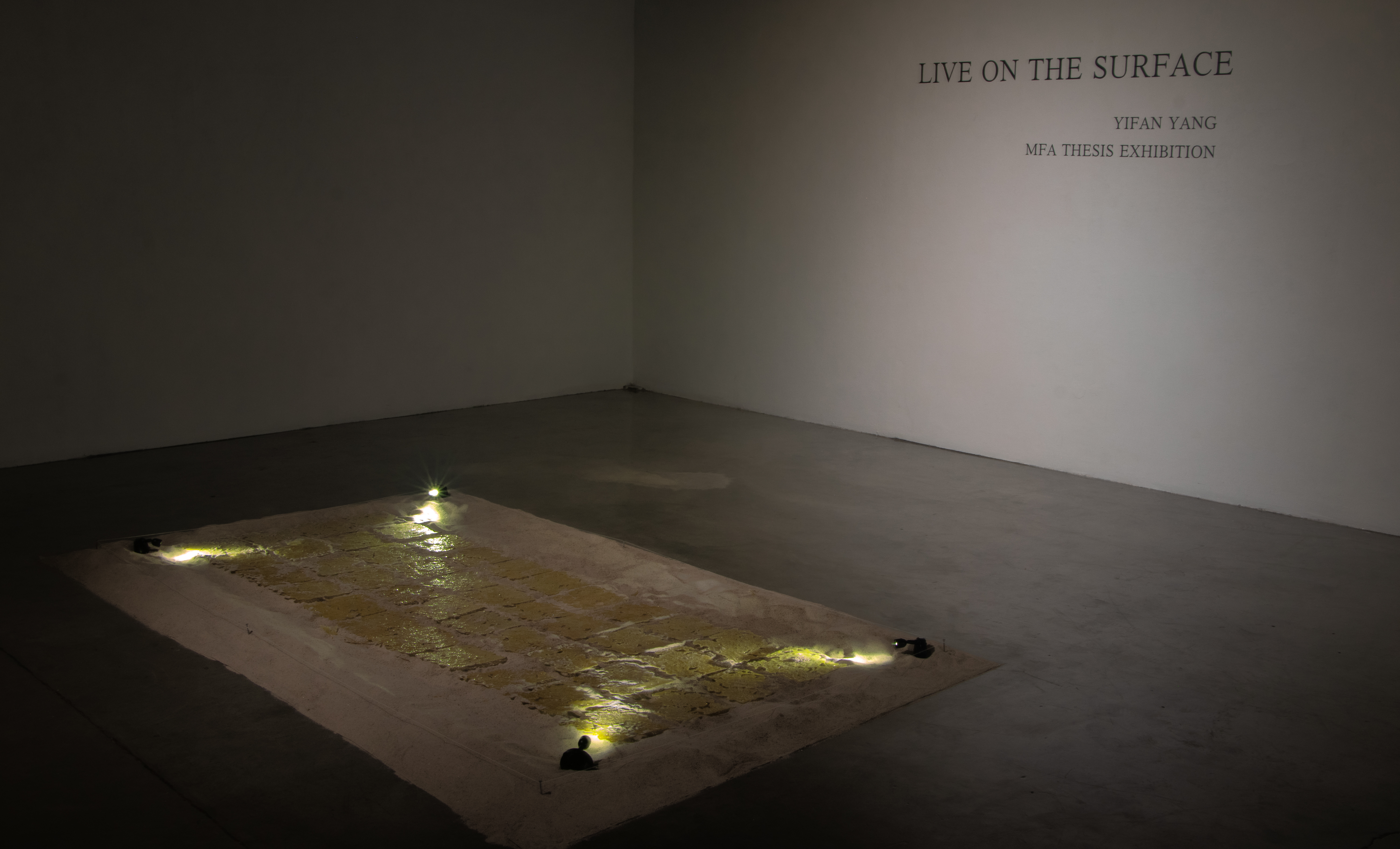 installation shot of gallery
