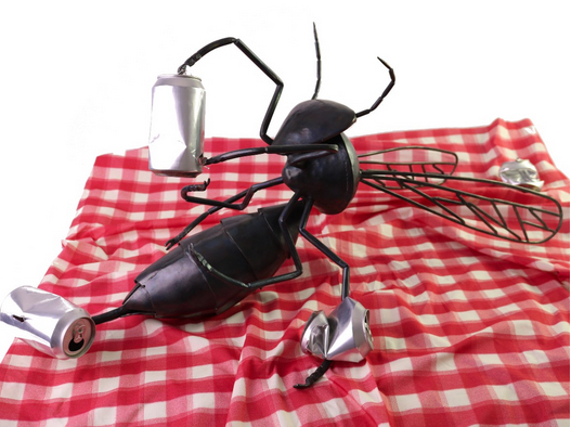 bug on a cloth
