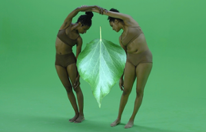 two women either side of an oversized tree leaf on a green ground 